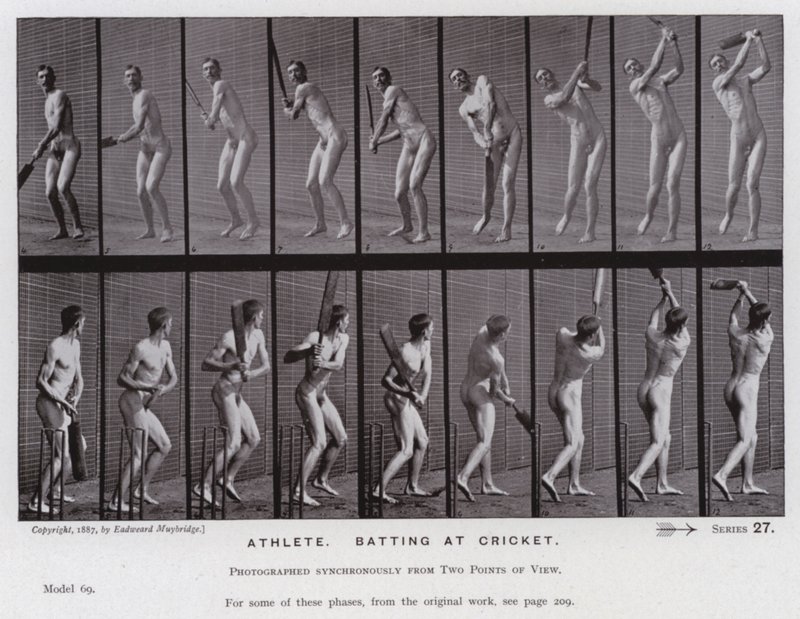 The Human Figure in Motion: idrettsutøver, slår på cricket (s/hvitt-bilde) av Eadweard Muybridge