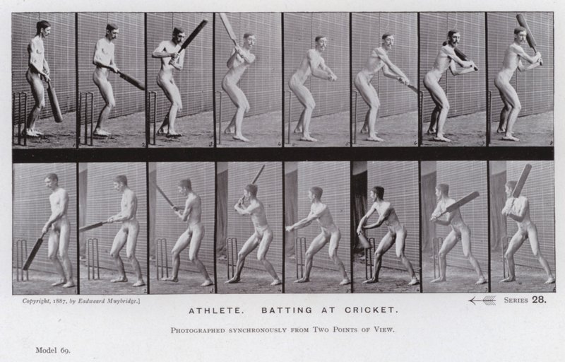 The Human Figure in Motion: idrettsutøver, slår på cricket (s/hvitt-bilde) av Eadweard Muybridge