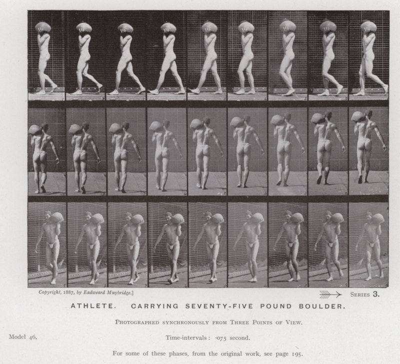 Den menneskelige figuren i bevegelse: idrettsutøver som bærer en steinblokk på 75 pund (s/hvitt-bilde) av Eadweard Muybridge