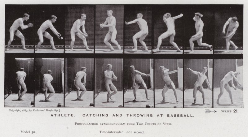Den menneskelige figuren i bevegelse: idrettsutøver, fanger og kaster på baseball (s/hvitt-bilde) av Eadweard Muybridge