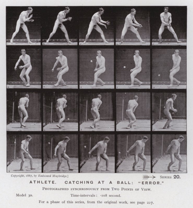 Den menneskelige figuren i bevegelse: idrettsutøver, fanger en ball, "feil" (s/hvitt-bilde) av Eadweard Muybridge