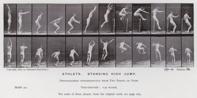 Den menneskelige figuren i bevegelse: idrettsutøver, stående høydehopp av Eadweard Muybridge