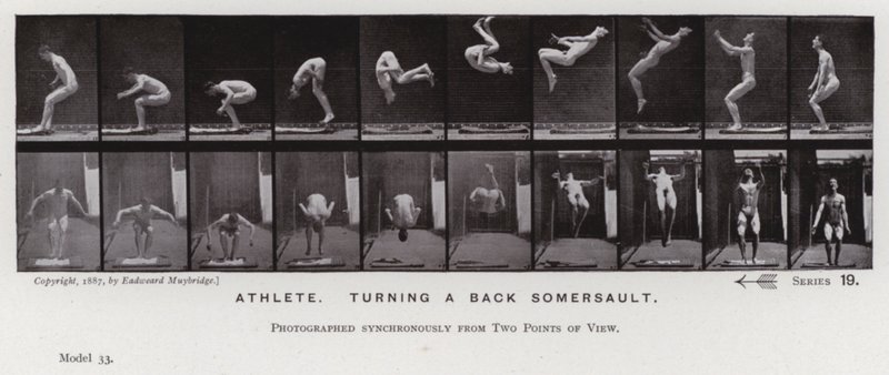 Den menneskelige figuren i bevegelse: idrettsutøver som snur en salto (s/hvitt-bilde) av Eadweard Muybridge