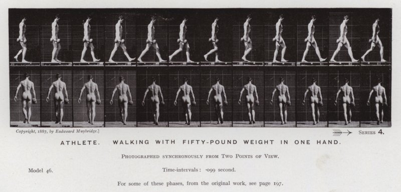 Den menneskelige figuren i bevegelse: idrettsutøver som går med en vekt på femti pund i en hånd (s/hvitt-bilde) av Eadweard Muybridge