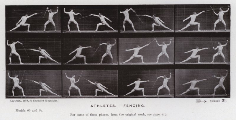 Den menneskelige figuren i bevegelse: idrettsutøvere, fekting (s/hvitt-bilde) av Eadweard Muybridge