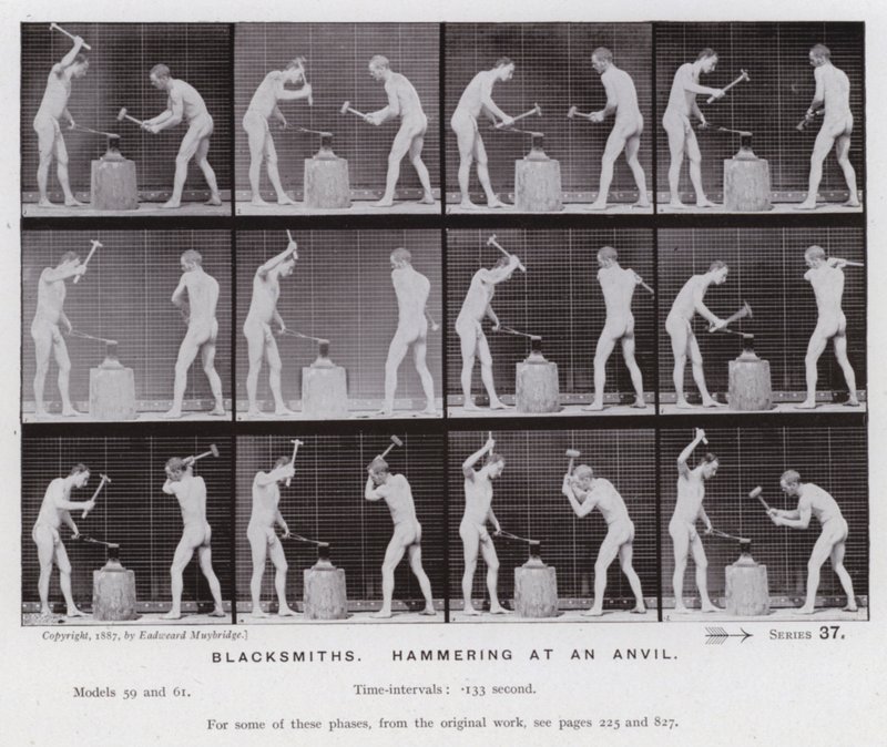 The Human Figure in Motion: Smeder, hamrer på en ambolt (s/hvitt-bilde) av Eadweard Muybridge