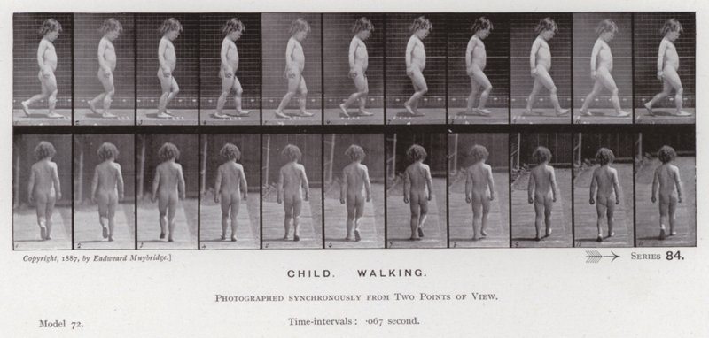 Den menneskelige figuren i bevegelse: barn, gående (s/hvitt-bilde) av Eadweard Muybridge