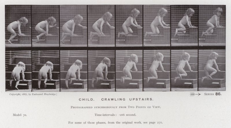 Den menneskelige figuren i bevegelse: Barn, kryper oppe (s/hvitt-bilde) av Eadweard Muybridge
