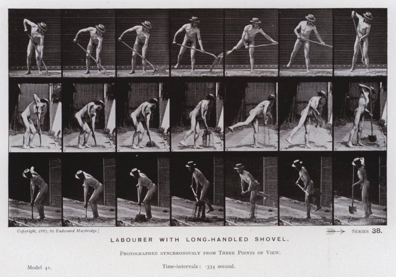 Den menneskelige figuren i bevegelse: Arbeider med langskaftet spade (s/hvitt-bilde) av Eadweard Muybridge