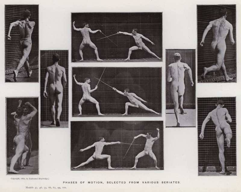 The Human Figure in Motion: Bevegelsesfaser, valgt fra forskjellige serier (s/hvitt-bilde) av Eadweard Muybridge