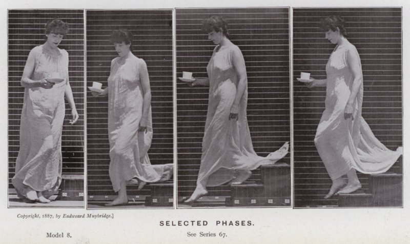 Den menneskelige figuren i bevegelse: utvalgte faser (s/hvitt-bilde) av Eadweard Muybridge