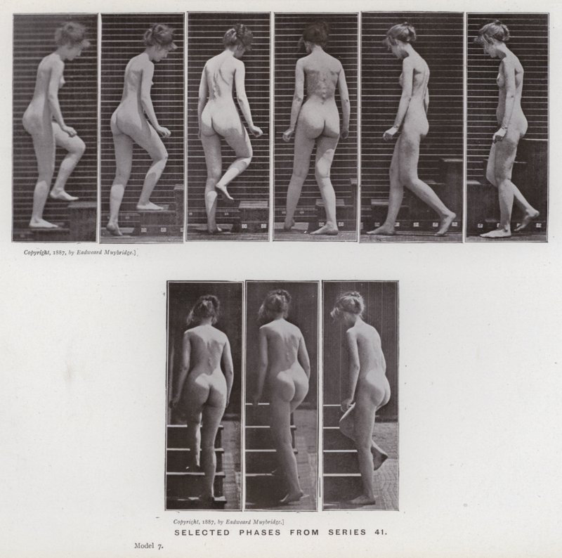 The Human Figure in Motion: Utvalgte faser fra serie 41 (s/hvitt-bilde) av Eadweard Muybridge