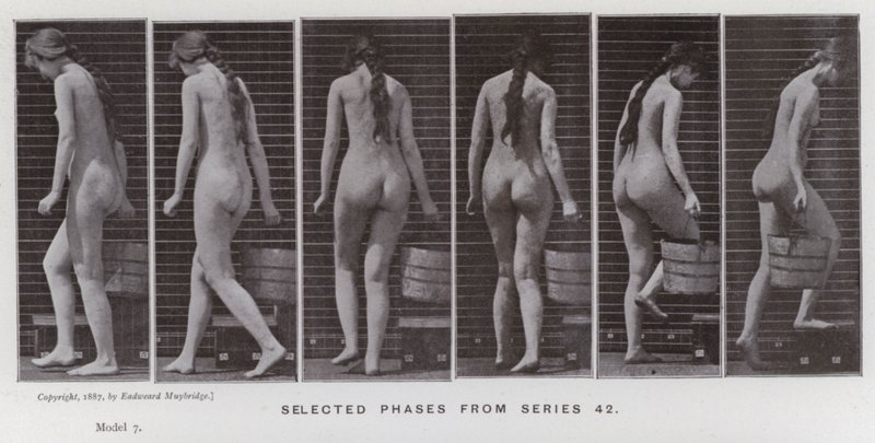 The Human Figure in Motion: Utvalgte faser fra serie 42 (s/hvitt-bilde) av Eadweard Muybridge