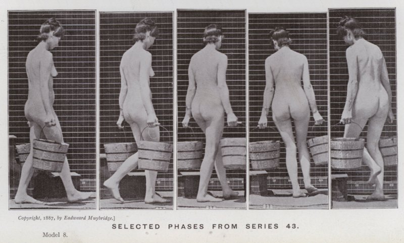 The Human Figure in Motion: Utvalgte faser fra serie 43 (s/hvitt-bilde) av Eadweard Muybridge