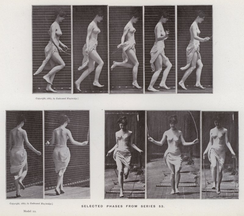The Human Figure in Motion: Utvalgte faser fra serie 53 (s/hvitt-bilde) av Eadweard Muybridge