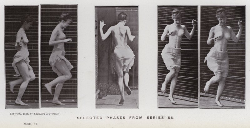 The Human Figure in Motion: Utvalgte faser fra serie 55 (s/hvitt-bilde) av Eadweard Muybridge