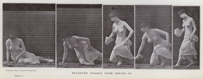 The Human Figure in Motion: Utvalgte faser fra serie 56 (s/hvitt-bilde) av Eadweard Muybridge