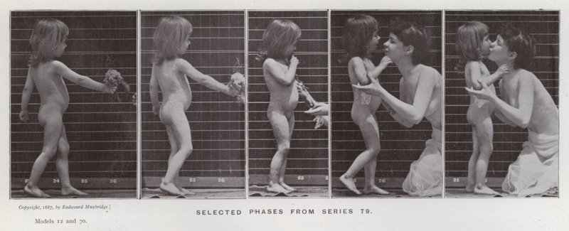 The Human Figure in Motion: Utvalgte faser fra serie 79 (s/hvitt-bilde) av Eadweard Muybridge
