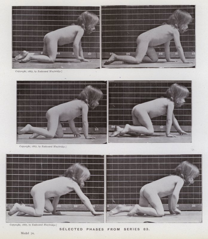 The Human Figure in Motion: Utvalgte faser fra serie 83 (s/hvitt-bilde) av Eadweard Muybridge