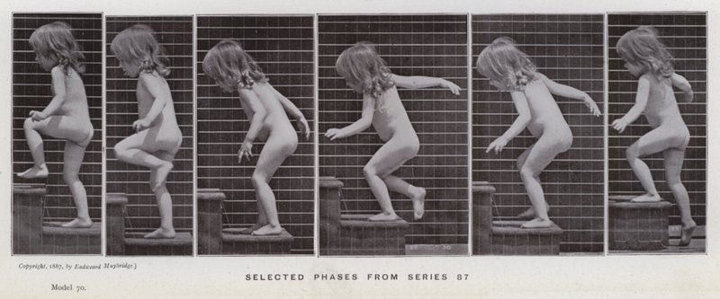The Human Figure in Motion: Utvalgte faser fra serie 87 (s/hvitt-bilde) av Eadweard Muybridge