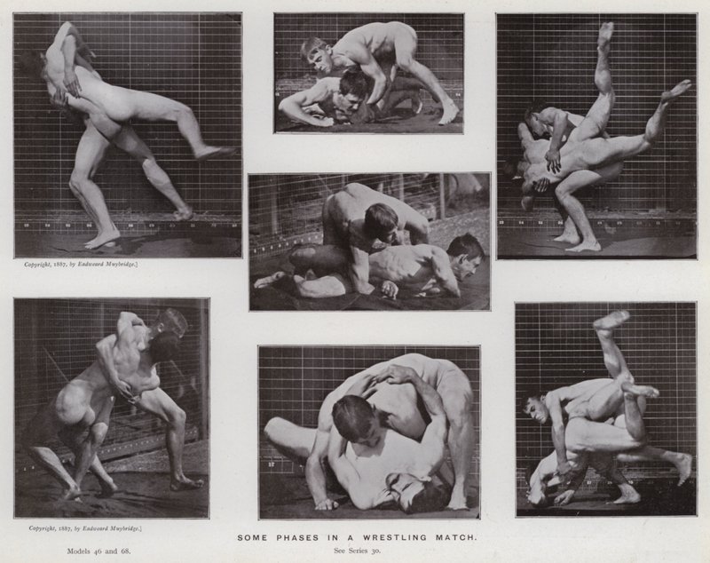 The Human Figure in Motion: Noen faser i en brytekamp (s/hvitt-bilde) av Eadweard Muybridge