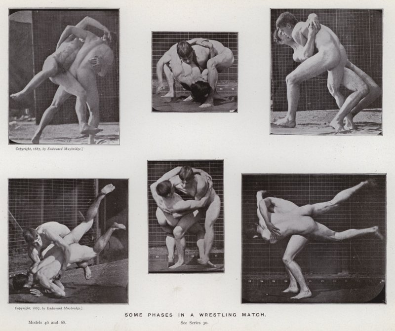 Den menneskelige figuren i bevegelse: Noen faser i en brytekamp av Eadweard Muybridge