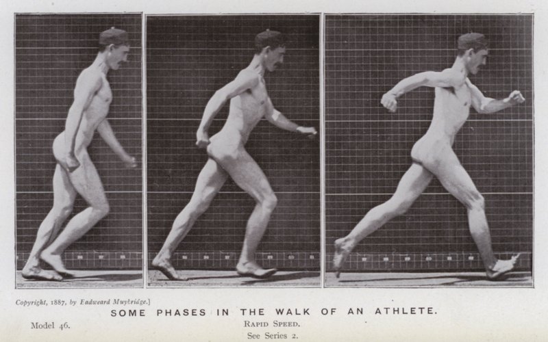 Den menneskelige figuren i bevegelse: Noen faser i en idrettsutøver (s/hvitt-bilde) av Eadweard Muybridge