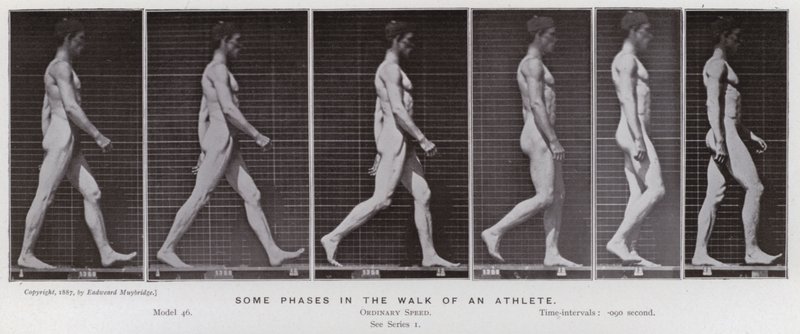 Den menneskelige figuren i bevegelse: Noen faser i en idrettsutøver (s/hvitt-bilde) av Eadweard Muybridge