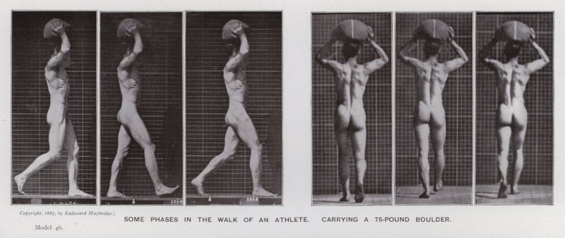 Den menneskelige figuren i bevegelse: Noen faser i turen til en idrettsutøver, som bærer en 75-punds steinblokk (s/hvitt-bilde) av Eadweard Muybridge