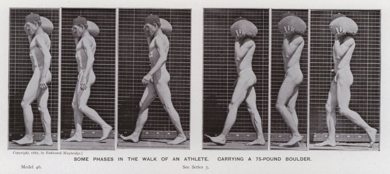 Den menneskelige figuren i bevegelse: Noen faser i turen til en idrettsutøver, som bærer en 75-punds steinblokk (s/hvitt-bilde) av Eadweard Muybridge