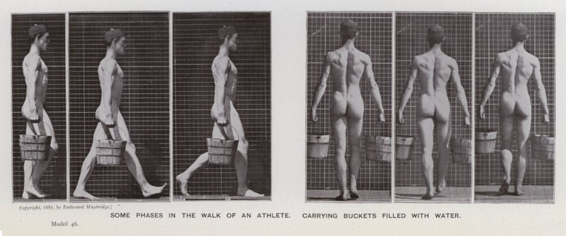 Den menneskelige figuren i bevegelse: Noen faser av en idrettsutøver som bærer bøtter fylt med vann (s/hv-bilde) av Eadweard Muybridge