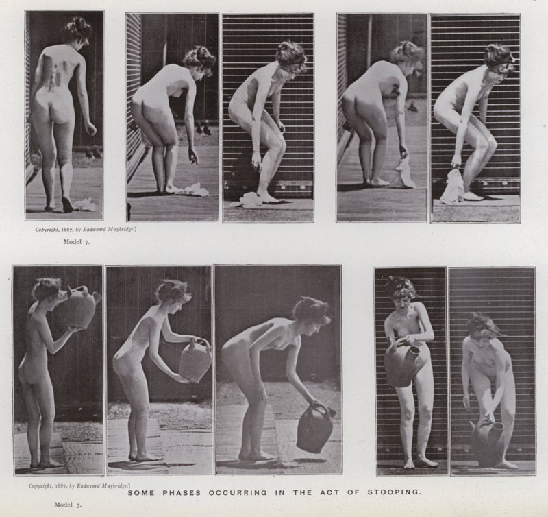 Den menneskelige figuren i bevegelse: Noen faser som oppstår i handlingen med å bøye seg av Eadweard Muybridge