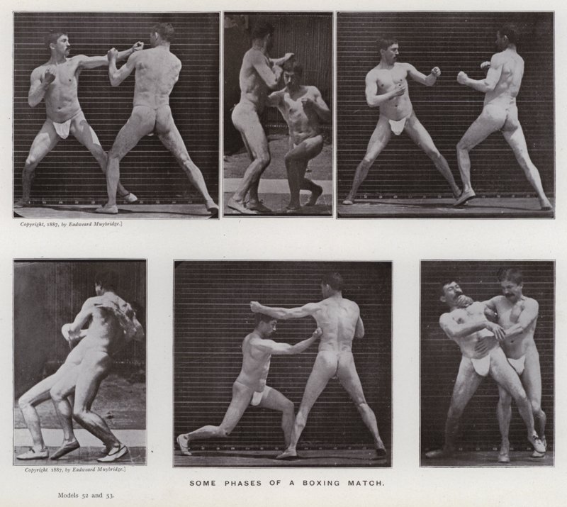 The Human Figure in Motion: Noen faser av en boksekamp (s/hvitt-bilde) av Eadweard Muybridge