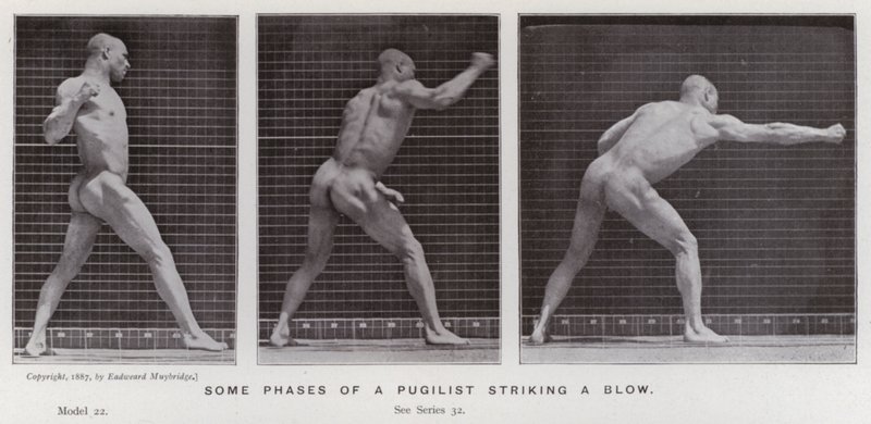 Den menneskelige figuren i bevegelse: Noen faser av en pugilist som slår et slag (s/hvitt-bilde) av Eadweard Muybridge