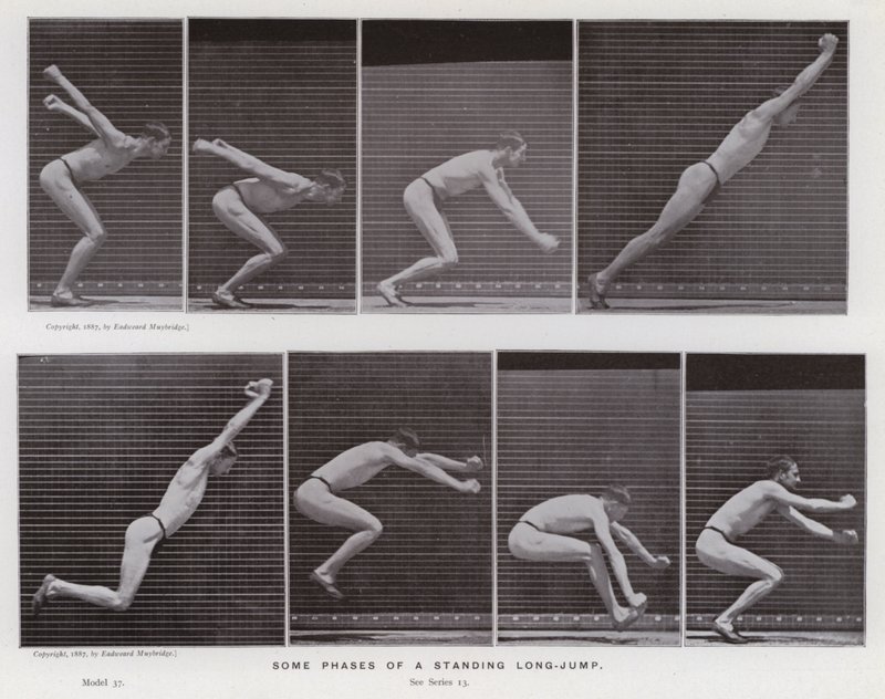 Den menneskelige figuren i bevegelse: Noen faser av et stående lengdehopp (s/hvitt-bilde) av Eadweard Muybridge