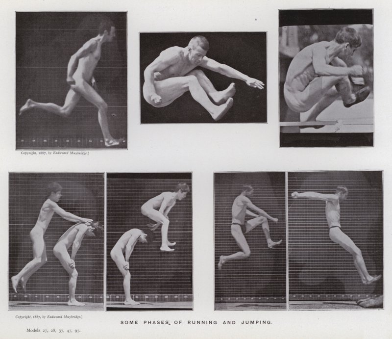 Den menneskelige figuren i bevegelse: Noen faser av løping og hopping (s/hvitt-bilde) av Eadweard Muybridge