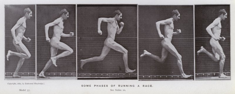 The Human Figure in Motion: Noen faser av å løpe for et løp (s/hvitt-bilde) av Eadweard Muybridge