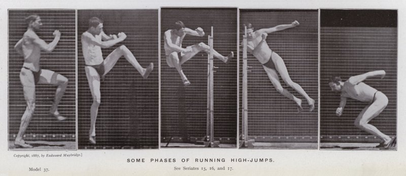 Den menneskelige figuren i bevegelse: Noen faser av å løpe høye hopp (s/hvitt-bilde) av Eadweard Muybridge