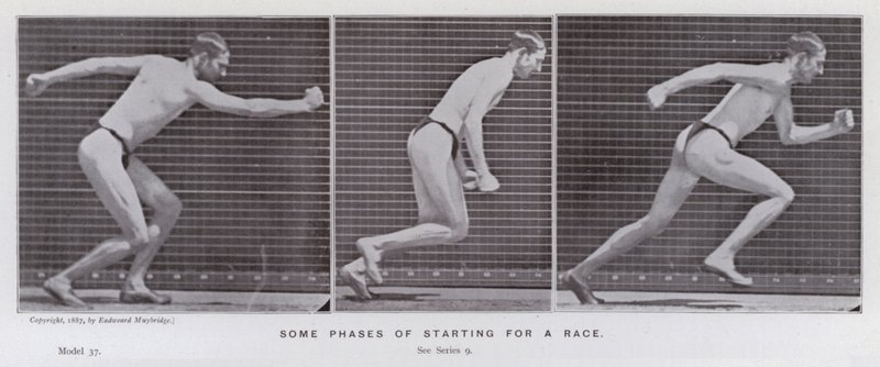 Den menneskelige figuren i bevegelse: Noen faser av å starte et løp (s/hvitt-bilde) av Eadweard Muybridge