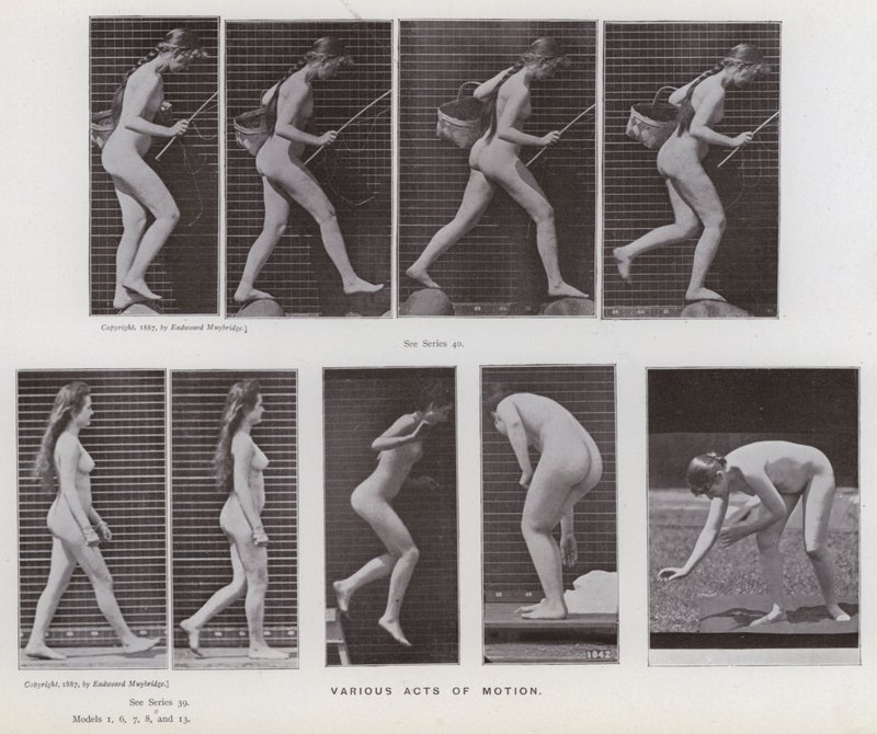 The Human Figure in Motion: Ulike bevegelseshandlinger (s/hvitt-bilde) av Eadweard Muybridge