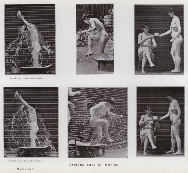 The Human Figure in Motion: Ulike bevegelseshandlinger (s/hvitt-bilde) av Eadweard Muybridge