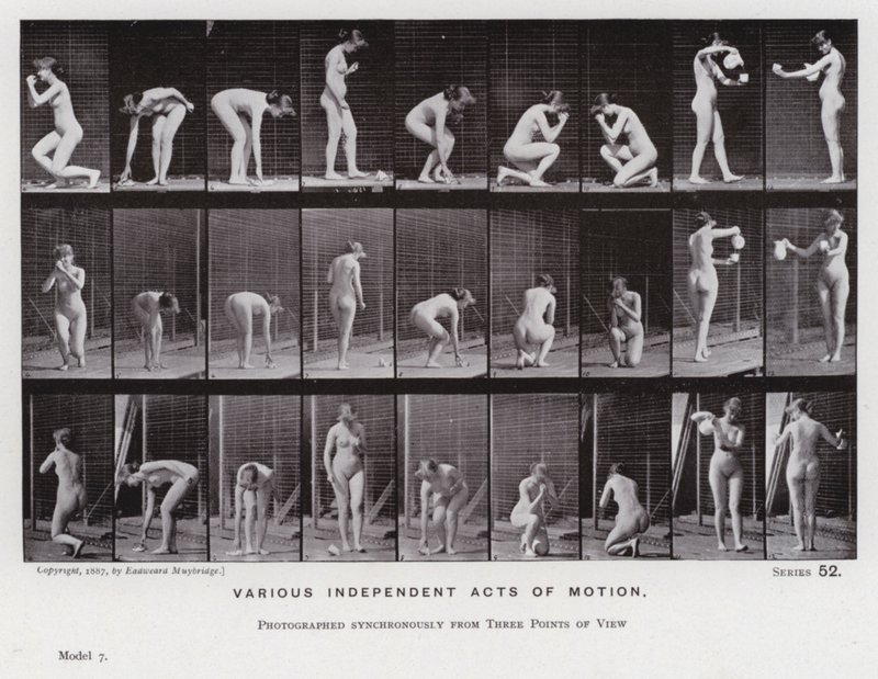 The Human Figure in Motion: Ulike uavhengige bevegelseshandlinger (s/hvitt-bilde) av Eadweard Muybridge