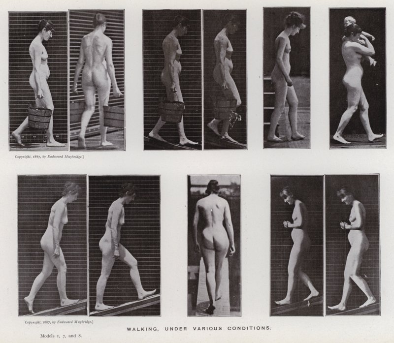 Den menneskelige figuren i bevegelse: Gå, under forskjellige forhold (s/hvitt-bilde) av Eadweard Muybridge