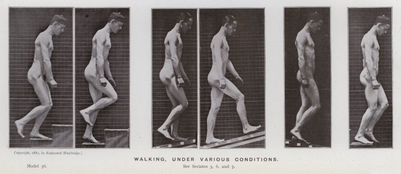 Den menneskelige figuren i bevegelse: Gå, under forskjellige forhold (s/hvitt-bilde) av Eadweard Muybridge