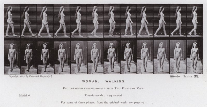 Den menneskelige figuren i bevegelse: kvinne, gående (s/hvitt-bilde) av Eadweard Muybridge