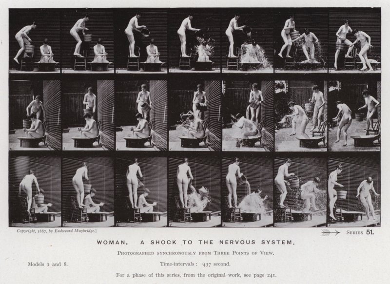 The Human Figure in Motion: Woman, et sjokk for nervesystemet (s/hv-bilde) av Eadweard Muybridge