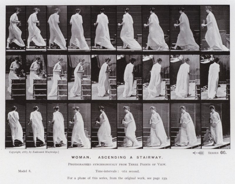 Den menneskelige figuren i bevegelse: Kvinne, som går opp i en trapp (s/hvitt-bilde) av Eadweard Muybridge