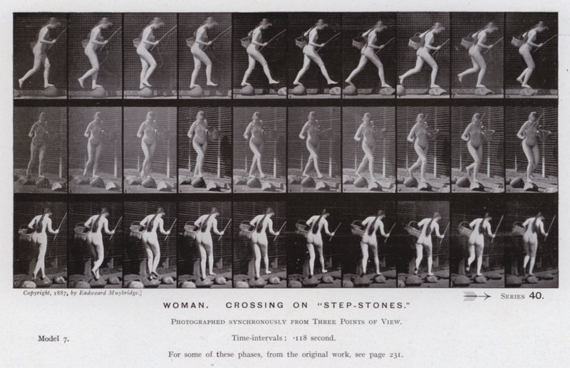 The Human Figure in Motion: Woman, crossing on "ste-stones" (s/hv-bilde) av Eadweard Muybridge