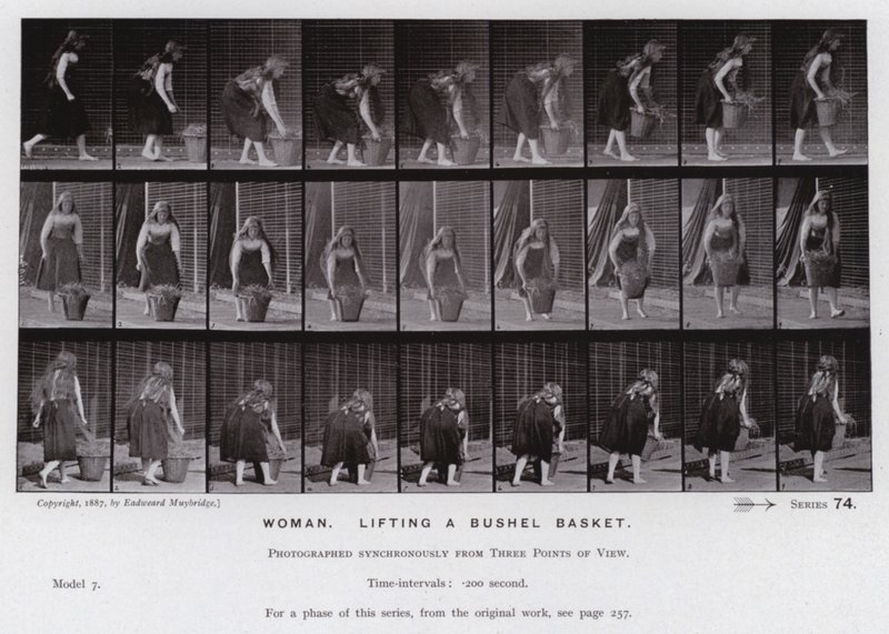 Den menneskelige figuren i bevegelse: Kvinne, løfter en skjeppekurv (s/hvitt-bilde) av Eadweard Muybridge