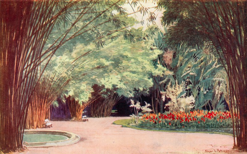 A Bamboo Grove, Botanical Gardens (farge litho) av Edgar L. Pattison